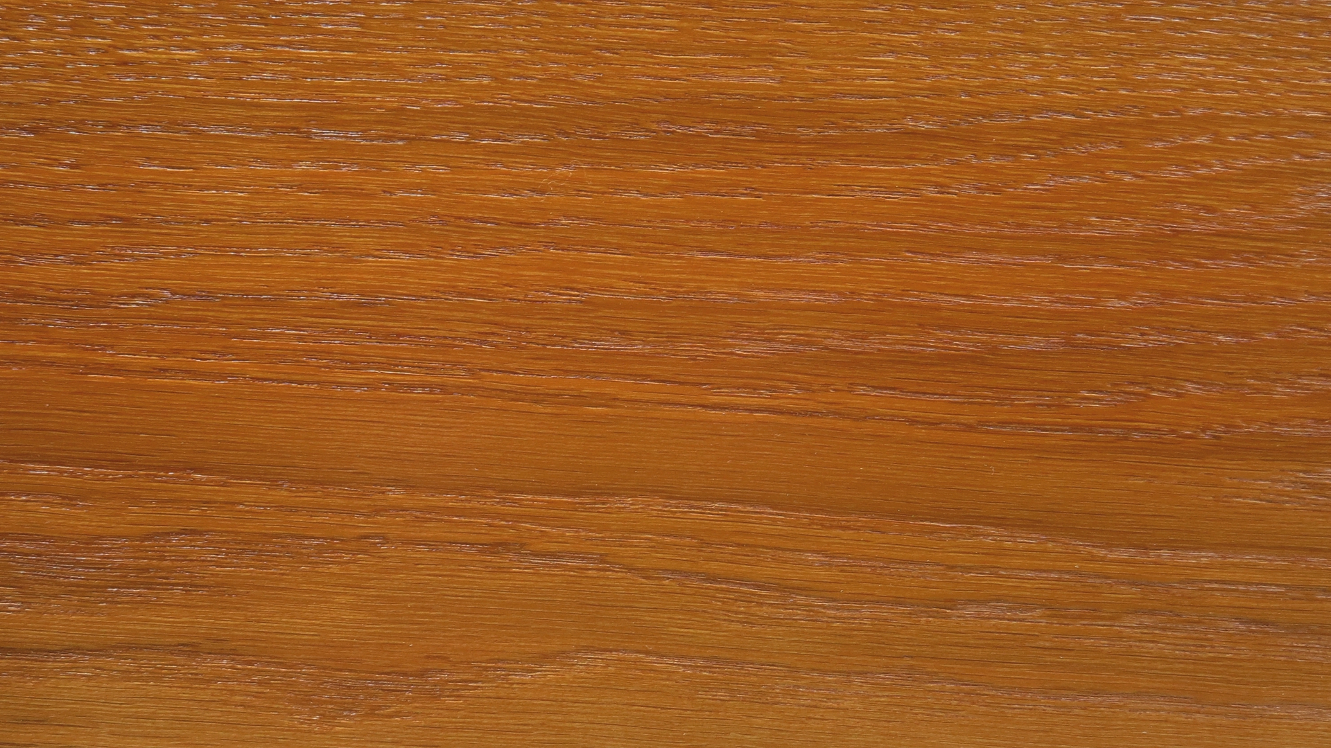 colorwood 02_57b7338dbee17